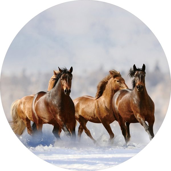 Paarden in de sneeuw op Glas Cirkel  Ø 80 cm